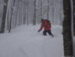 Par grosses chutes de neige, mieux vaut skier dans les bois. Rando  ski en Albanie.